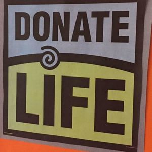 Meet your Posher, Meredith shonk